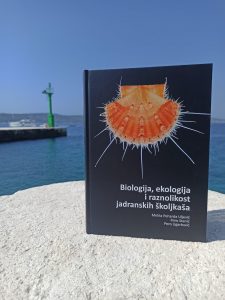 Biologija, ekologija i raznolikost jadranskih školjkaša